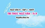 Soạn bài Tri thức ngữ văn trang 9 Ngữ văn lớp 9 tập 1 Kết nối tri thức